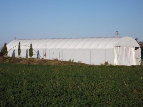 Soluzioni industriali_tunnel_serre_pvc_8