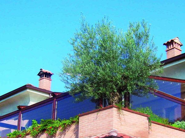 Soluzioni-outdoor_tende-verticali-trasparenti_2__